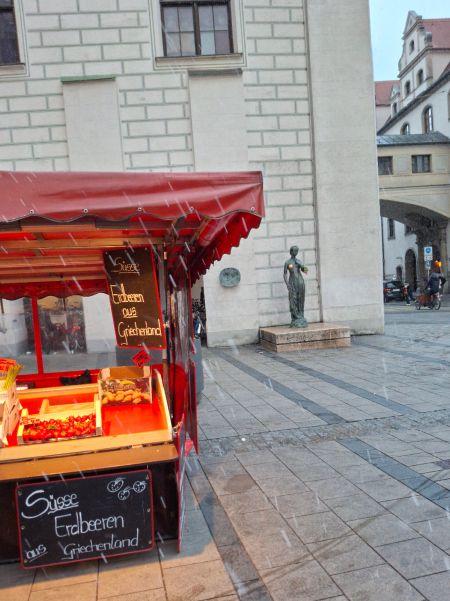 Erdbeeren aus Griechenland im Schneeregen von München